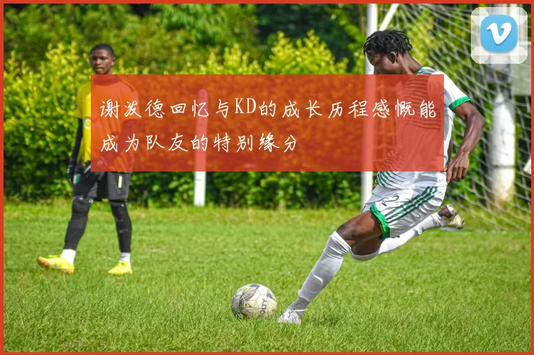 谢泼德回忆与KD的成长历程感慨能成为队友的特别缘分