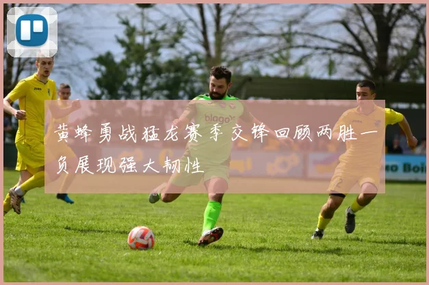 黄蜂勇战猛龙赛季交锋回顾两胜一负展现强大韧性