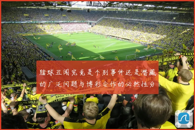 赌球丑闻究竟是个别事件还是潜藏的广泛问题与博彩合作的必然性分析